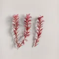 Mini preserved red eucalyptus branches 7-15cm for aromatherapy DIY crafts and floral decor. - 13-15cm (1 Pc) / Red