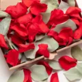 Natural Rose Petals Confetti Biodegradable Wedding Party Decoration Dried Flowers - Style 1 (Box)