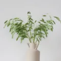Green preserved flower dried branches with ceramic vase for home shop decor setup. - Light Green Small Panicum Grass