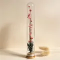 Mini-Glasreagenzglas mit Holzbasis und rosa Trockenblumen, hübsche dekorative Vase. - Rosa Stern Wunsch