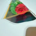 Single preserved rose bouquet in transparent triangle gift packaging for Valentine day party wholesale - Random Color