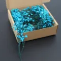 Mini preserved baby's breath dried flowers in box for party wedding home decor blue color - Blue 50 Stems