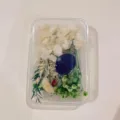 Preserved dried flower DIY material mixed set in clear box for handmade crafts. - Style 8 (Box)