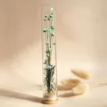 Glas-Reagenzglas Trockenblumen Deko, mintgrüne Schleierkraut Mini-Blumen im Glasvasen-Design. - Hellblauer Stern Wunsch