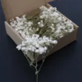 White gypsophila dried flowers SKU variant, natural baby breath bunch for DIY decor gifts. - Green Stem 50 Stems