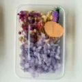 Preserved flowers DIY dried flower set in clear box for gift decoration home decor - Style 9 (Box)