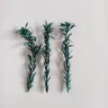 Preserved eucalyptus mini branches for aromatherapy DIY craft, natural green decorative twig. - 7-9cm (1 Pc) / Blue