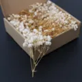Natural dried baby's breath flowers bouquet in kraft paper box for DIY craft and party decor. - Beige 50 Stems