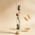 Glas Reagenzglas getrocknete Rose konservierte Blume Wunschflasche Geschenk Heimdekoration - Rote Rose