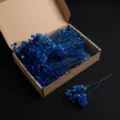 Blue dried gypsophila flowers DIY material pack in craft paper box for home decoration - Sapphire Blue