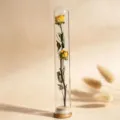 Glas-Reagenzglas konservierte getrocknete Rosenblüte Mini-Wunschflasche für die Heimdekoration - Gelbe Rose