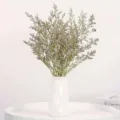 Natural dried statice flowers bouquet in white ceramic vase for home decor and DIY arrangement. - Statice 5 Stems