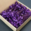 Natural purple dried baby breath flowers in craft box for DIY party wedding decor gifts. - Dark Purple 50 Stems