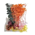 Mixed dried pressed flowers in bag, natural plant DIY material for crafts, candles, resin art. - Starry Field