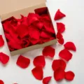 Red rose petals and confetti for wedding party decoration, natural romantic scatter petals. - Style 4 (Box)