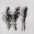 Preserved mini dried tree branches eucalyptus floral material for home decor aromatherapy crafts - 7-9cm (1 Pc) / Purple