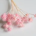 Natural pink dried flowers bouquet for home decor and DIY craft projects detail display. - Light Pink 30 Stems