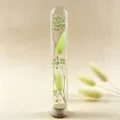 Glas Reagenzglas konservierte Blume Miniatur getrocknete Schleierkruene Wuensch dir Flasche - Grüner Hasenschwanz Stern Wunsch