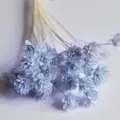 Closeup view of light blue dried small flowers, perfect for DIY crafts and home decor. - Light Blue 30 Stems