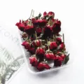 Dried rose buds close-up for resin craft scented candle making diy craft material pack detail view - Neon Bubble