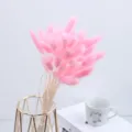 Pink bunny tail grass dried flower bouquet for home decor, vase arrangement ornament. - One Bundle / Pink