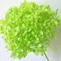Single stem preserved hydrangea light green flower dried floral home decor nordic style - Light Green