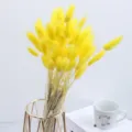 Yellow bunny tail grass dried flowers bouquet, fluffy natural floral home room table decoration. - One Bundle / Yellow