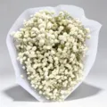 White gypsophila bouquet wrapped in elegant paper, perfect for home decor, gifts, and weddings. - 80-100g / White with Green Stem