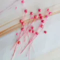 Pink Dried Flax Pods Preserved Flowers Natural Botanical DIY Craft Floral Arrangement Bouquet - Pink