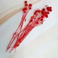 Red dried beans floral arrangement DIY handicraft decorative dried flowers variant SKU - Red