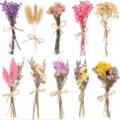 Mini dried flower bouquets assorted colors natural botanical decor for home crafting gifts - Style B (10 Bundles)