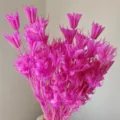 Pink dried star anise flowers bouquet for DIY floral arrangement home decor natural botanical - Pink