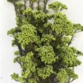 Green dried rice flowers preserved floral bunch for home decor DIY flower arrangement material - 70-80g / Light Green