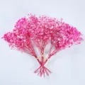 Pink dried baby's breath flowers gypsophila bouquet for home wedding decor DIY craft. - 25-30cm / Pink