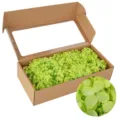 Green preserved hydrangea dried flowers DIY craft material in kraft paper window gift box - Green