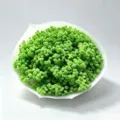 Green baby's breath dried flower bouquet in white wrapping paper for home decor gift. - Green