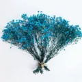 Blue dried baby's breath gypsophila flowers bouquet for wedding home DIY decor and gifts. - 25-30cm / Blue