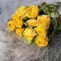 Ocean Heart / 1 Bundle of 10 Pieces