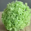 ortensia stabilizzata fiore stelo singolo verde chiaro decorazione casa pianta secca naturale - Verde chiaro