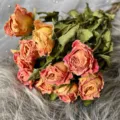 Preserved rose dried flower bouquet, large head rose DIY material for home decor gift. - Venus Pink / 1 Bundle of 10 Pieces