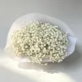White dried gypsophila flower bouquet wrapped in elegant paper, perfect for home decor and gifts. - 400+-50g/Bundle (60-70cm) / White with Green Stem