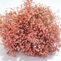 Beautiful pink dried baby's breath flowers bouquet for DIY crafts, home decor, and holiday gifts. - Caramel color