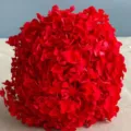 Testa di ortensia conservata rossa fiori secchi decorazione per la casa nordica singola - Rosso