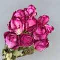 Natural dried red roses big head preserved flower bouquet for DIY gift material and floral decor. - Divina / 1 Bundle of 10 Pieces