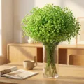 Green Gypsophila baby's breath dry flowers in glass vase home wedding decor gift - Green