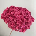 Ortensia Secca Fiore Stelo Singolo Variante Magenta per Decorazione Casa Composizione - rosa scuro