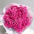 Vibrant pink baby's breath dried flower bouquet, perfect home decor and DIY gift material. - Rose Red