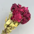Dried rose bouquet, premium preserved flowers for DIY craft materials, home decor gift. - King's Day