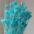Blue dried star anise flowers bunch for floral arrangement and DIY handmade home decor. - Blue
