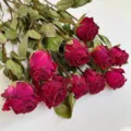 Natural dried red roses preserved flower big head bouquet DIY craft floral material pack. - Pride